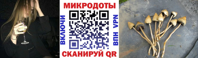 Псилоцибиновые грибы Psilocybe  это телеграм  Волжск  где продают наркотики  hydra зеркало 